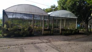 Casa de vegetação - Foto: Divulgação/SMAS