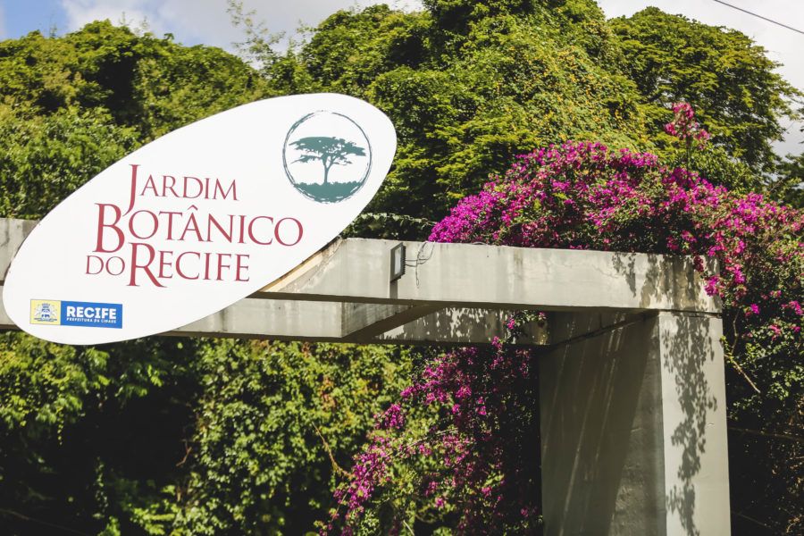 Jardim Botânico do Recife - Foto: Andrea Rego Barros