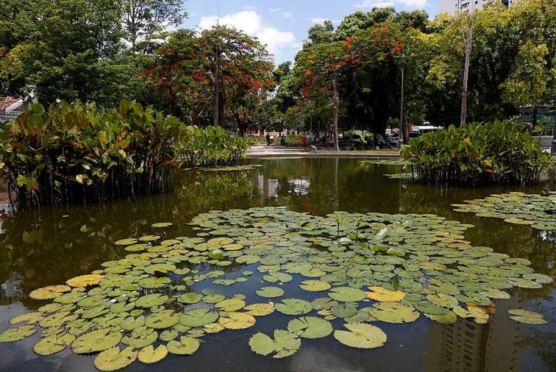 Praça de Casa Forte - Créditos: Diego Nigro/JC Imagem