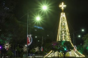 Árvore de Natal da Avenida Agamenon Magalhães – Foto: Wesley D'Almeida